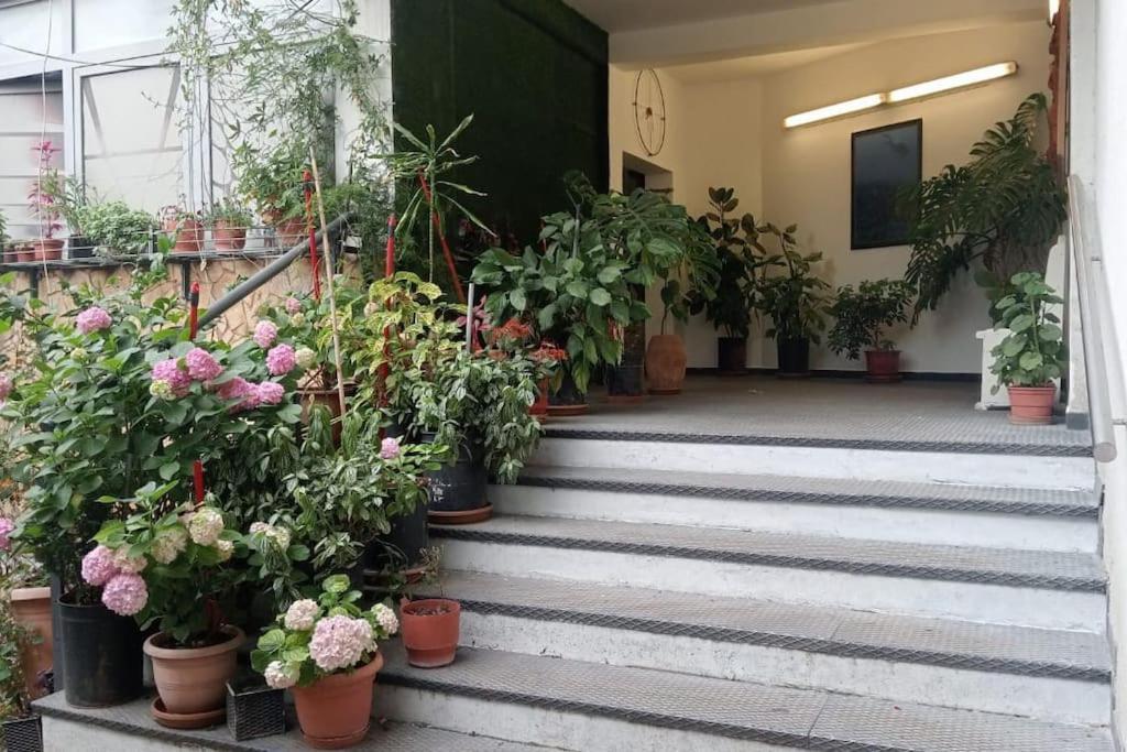 Pazari_Ri_Studio Apartment Tiranë Luaran gambar